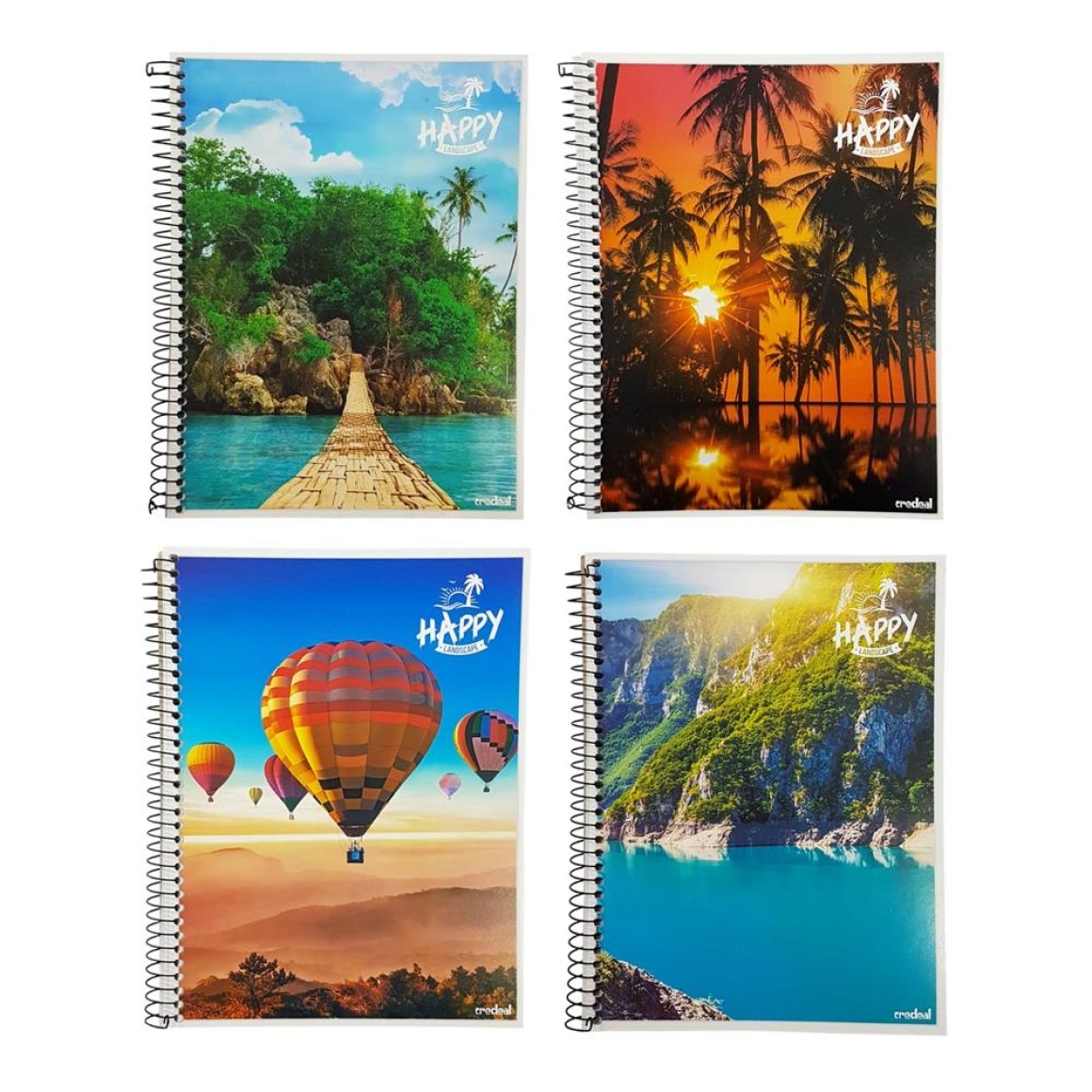 Caderno 14 Harry FlexÍvel Espiral 96fls Credeal 5246